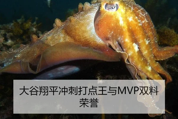 大谷翔平冲刺打点王与MVP双料荣誉